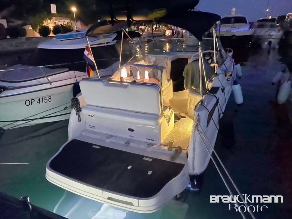 Sea Ray 255 Sundancer 2008 mit Trailer Top Ausstattung – Bild 4