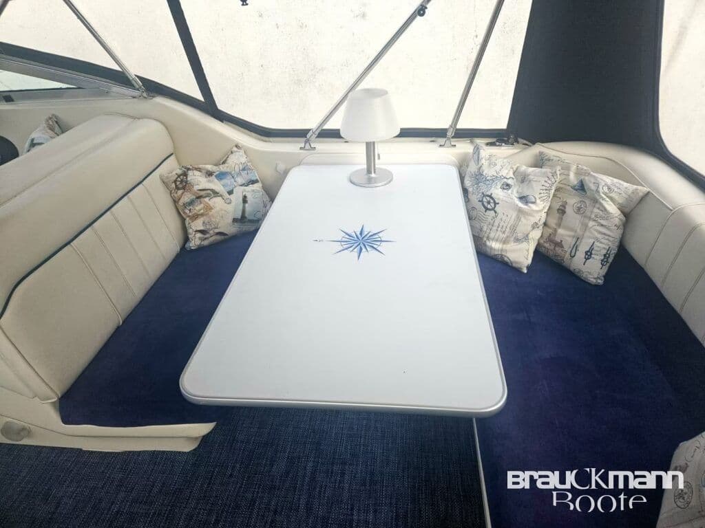 Sea Ray 250 DA inkl 35 t Trailer – Bild 6