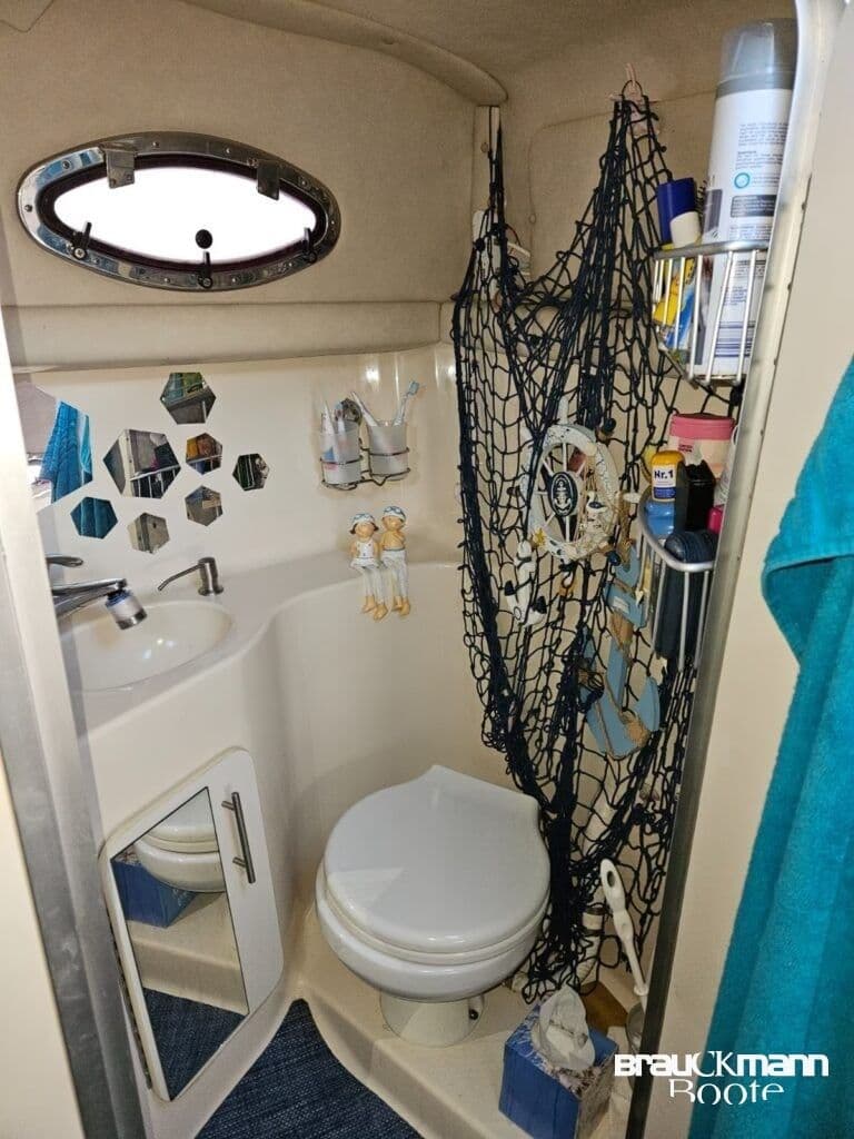 Sea Ray 250 DA inkl 35 t Trailer – Bild 16