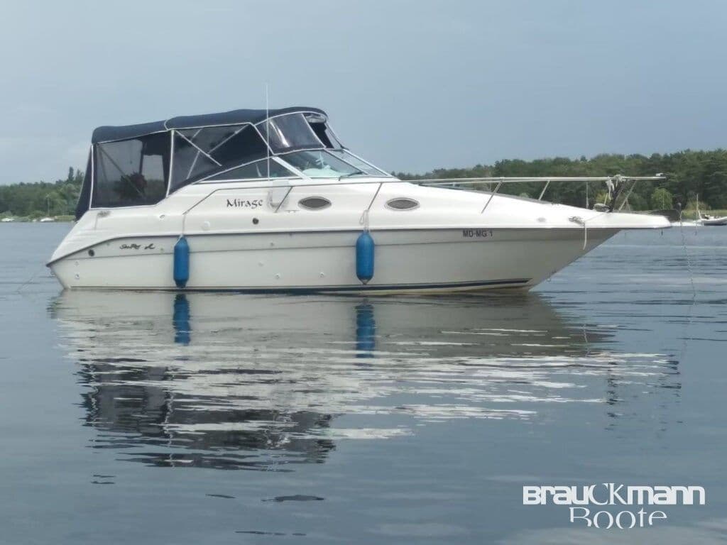 Sea Ray 250 DA inkl 35 t Trailer – Bild 2