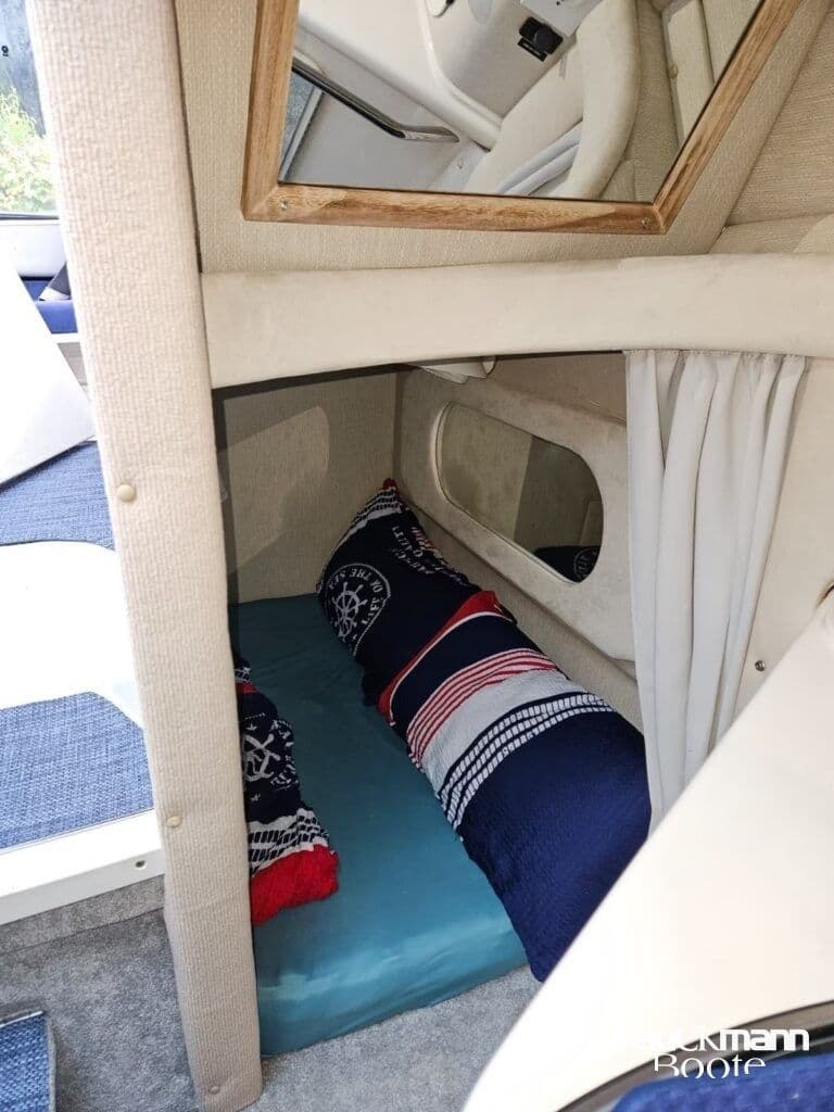 Sea Ray 250 DA inkl 35 t Trailer – Bild 13