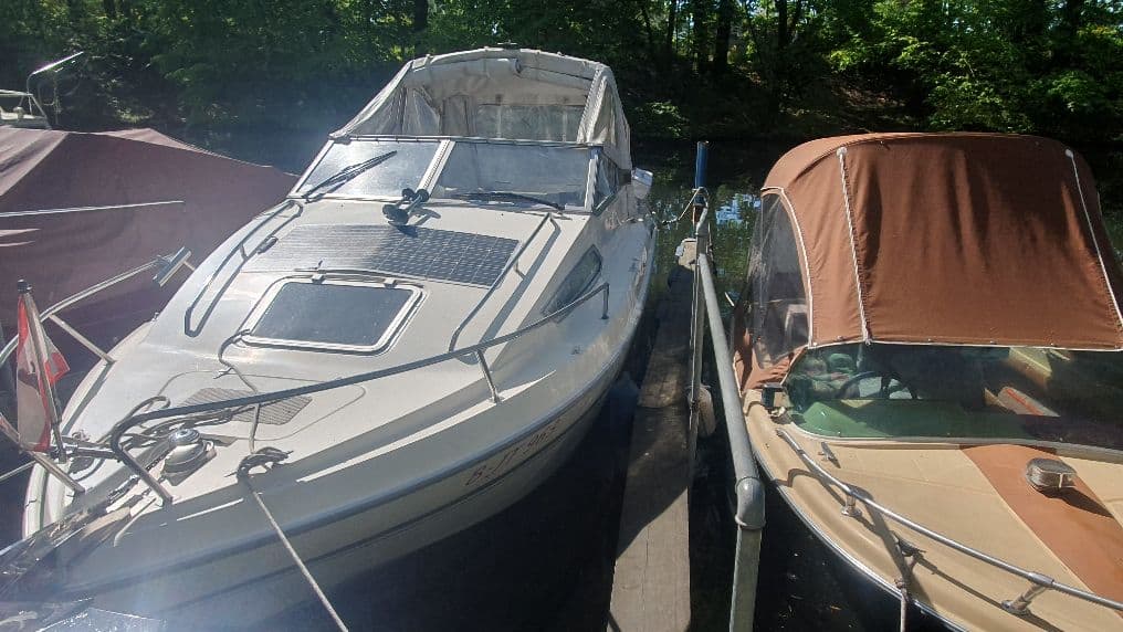 Sealine – Bild 2