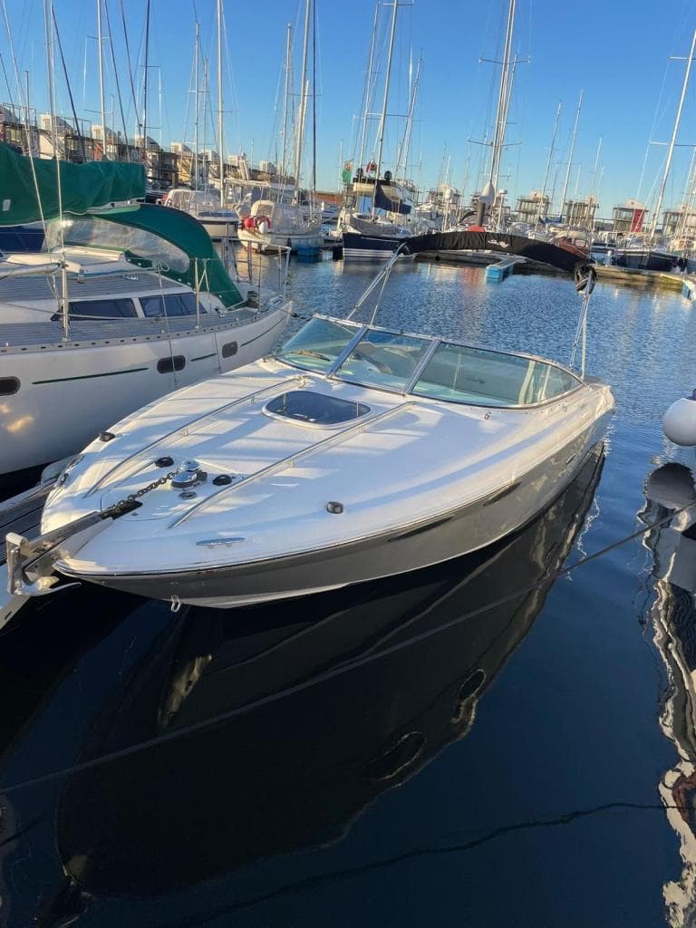 Sea Ray 240 SSE Limited Edition – Bild 3