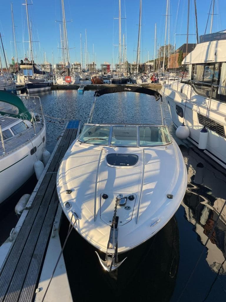 Sea Ray 240 SSE Limited Edition – Bild 2
