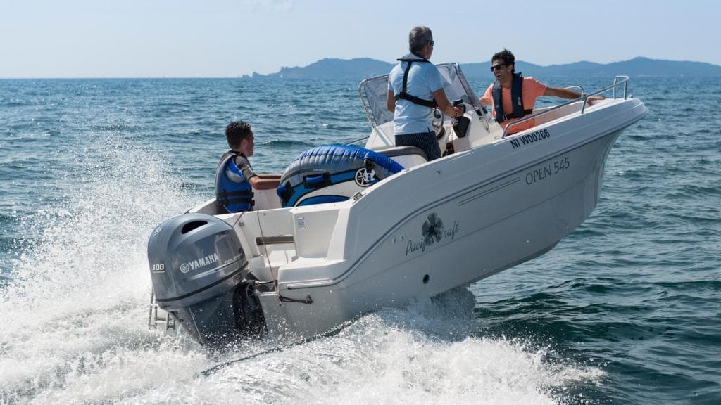 Yamaha F 100 LB