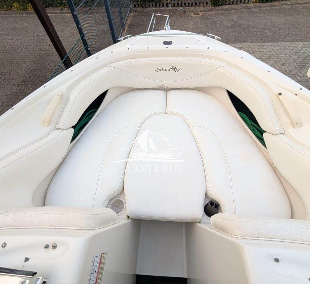 Sea Ray 190 Bowrider | Motor neu 2022, 210 PS, mit Trailer – Bild 13