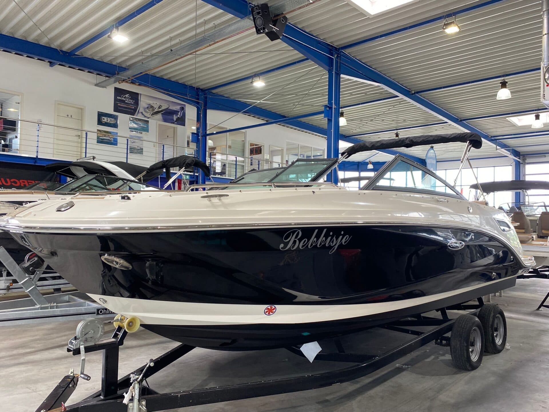 SEARAY SeaRay 250 SDX