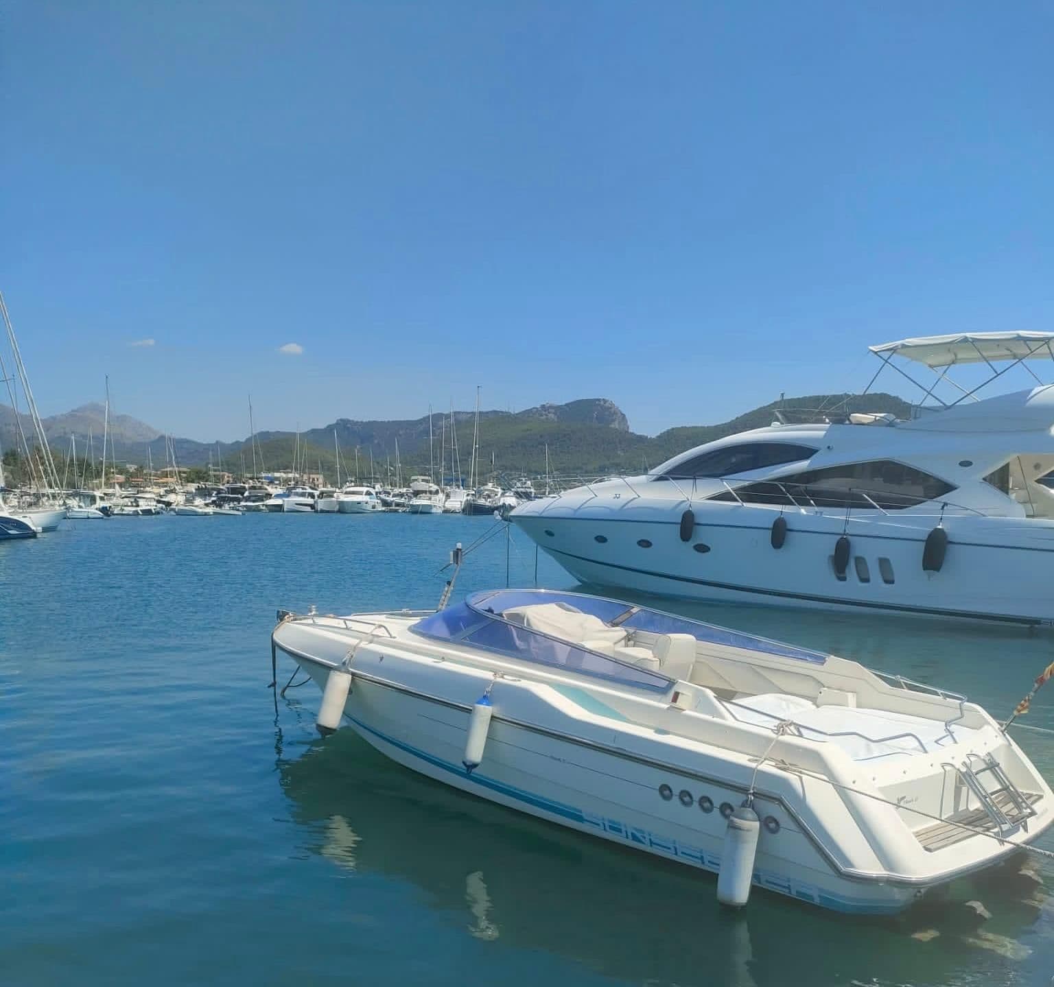 Sunseeker 27 Hawk – Bild 2