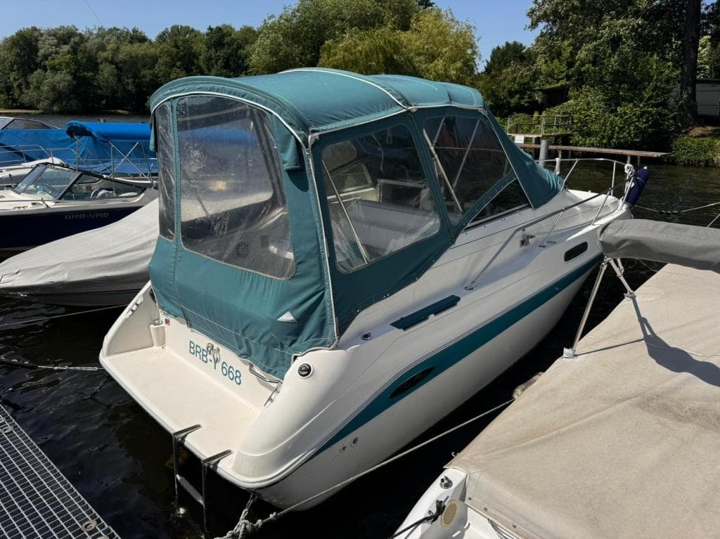 Sea Ray 230 Sundancer – Bild 2