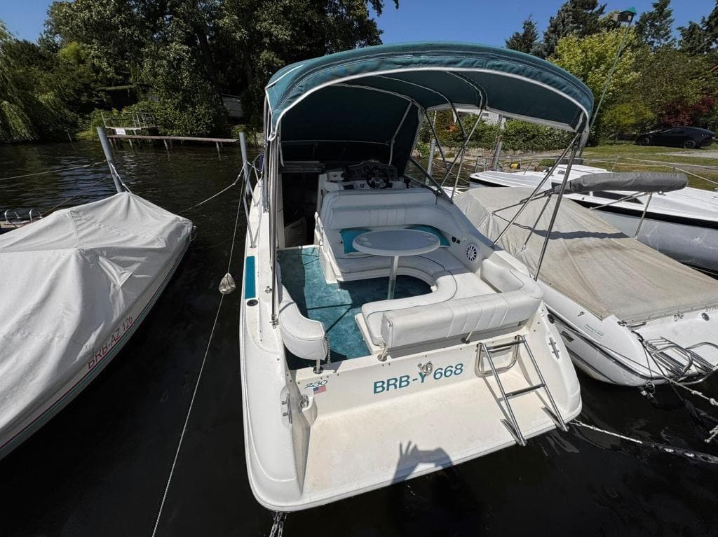 Sea Ray 230 Sundancer – Bild 6