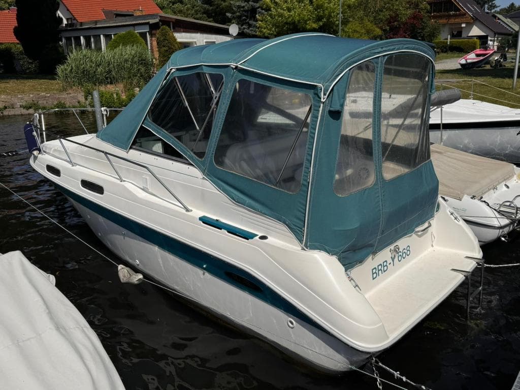 Sea Ray 230 Sundancer – Bild 3