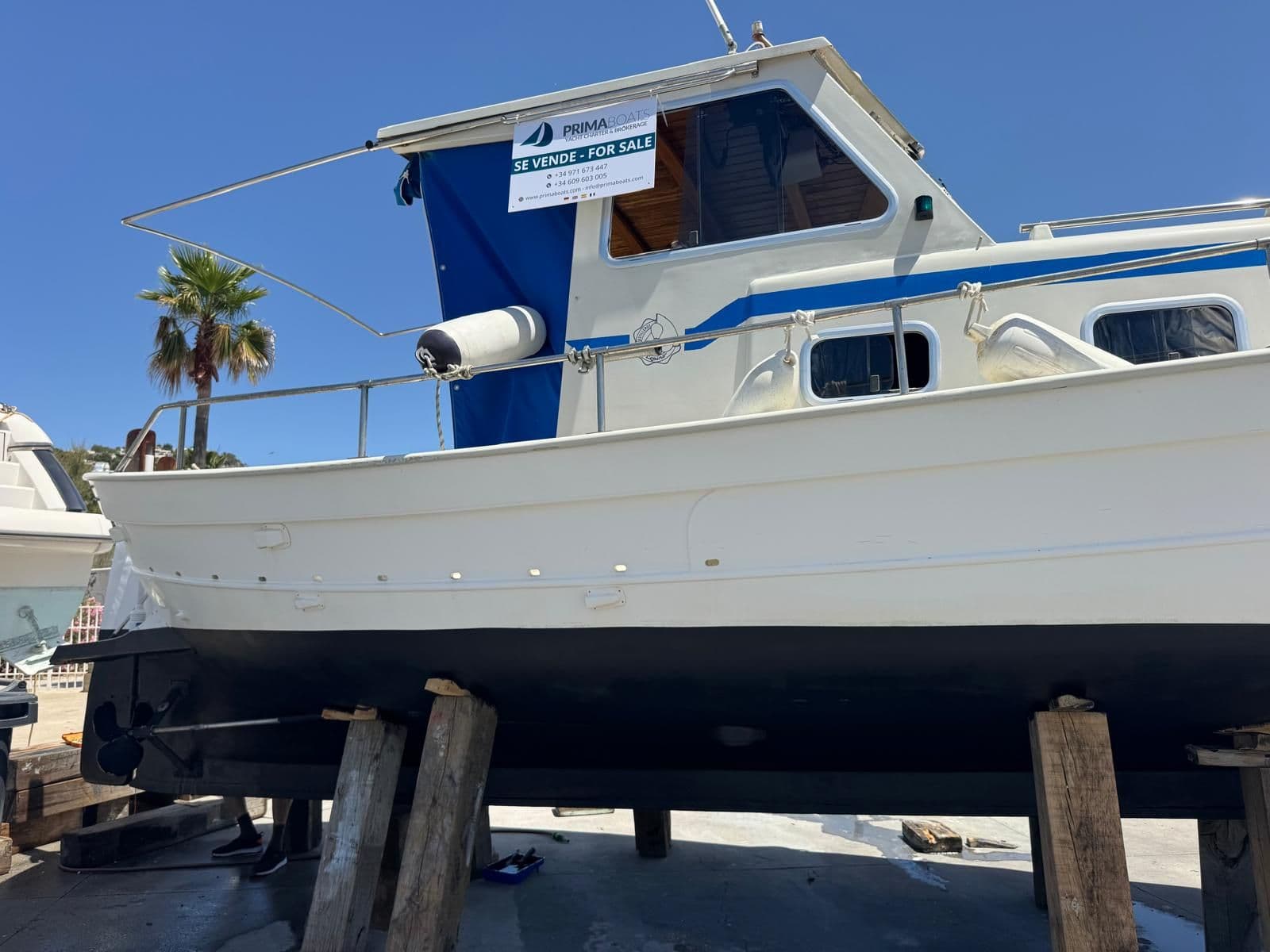 Copino 44 – Bild 17