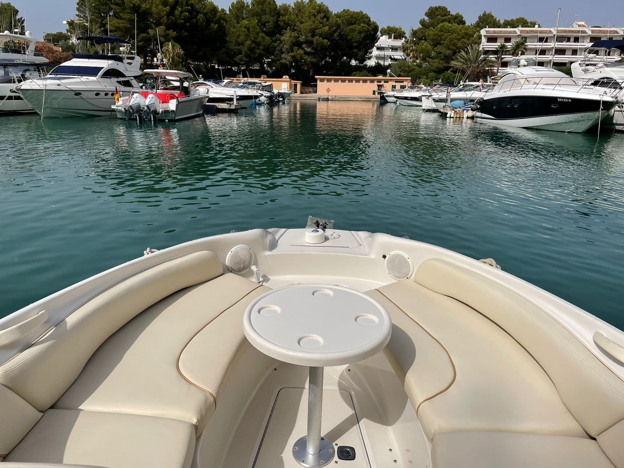 Sea Ray Sundeck 240 – Bild 8
