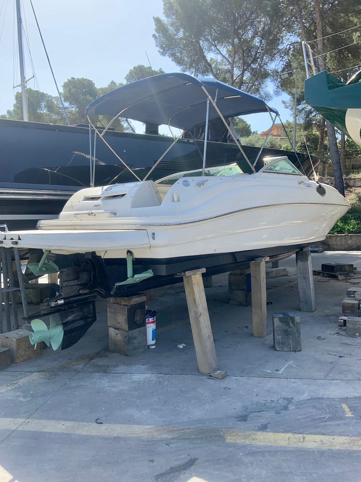 Sea Ray Sundeck 240 – Bild 18
