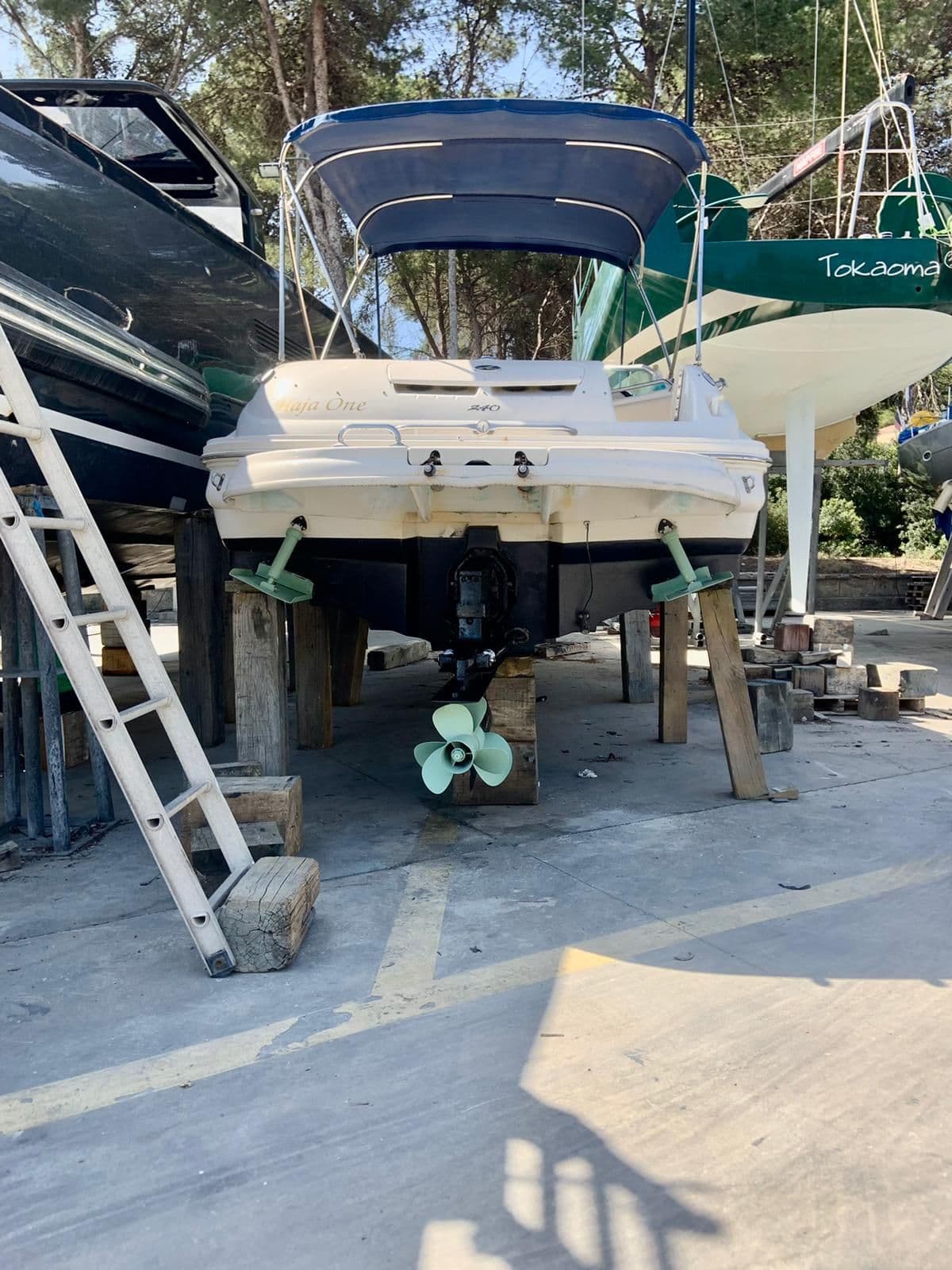 Sea Ray Sundeck 240 – Bild 13