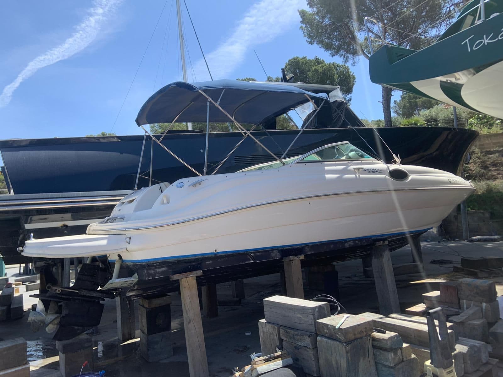 Sea Ray Sundeck 240 – Bild 16