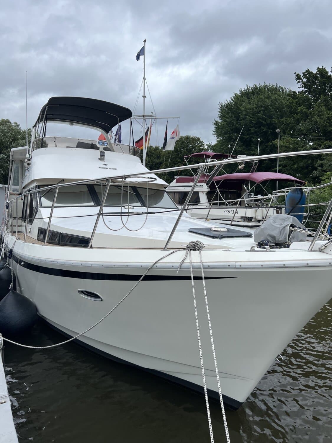 Edership 38 NY – Bild 2