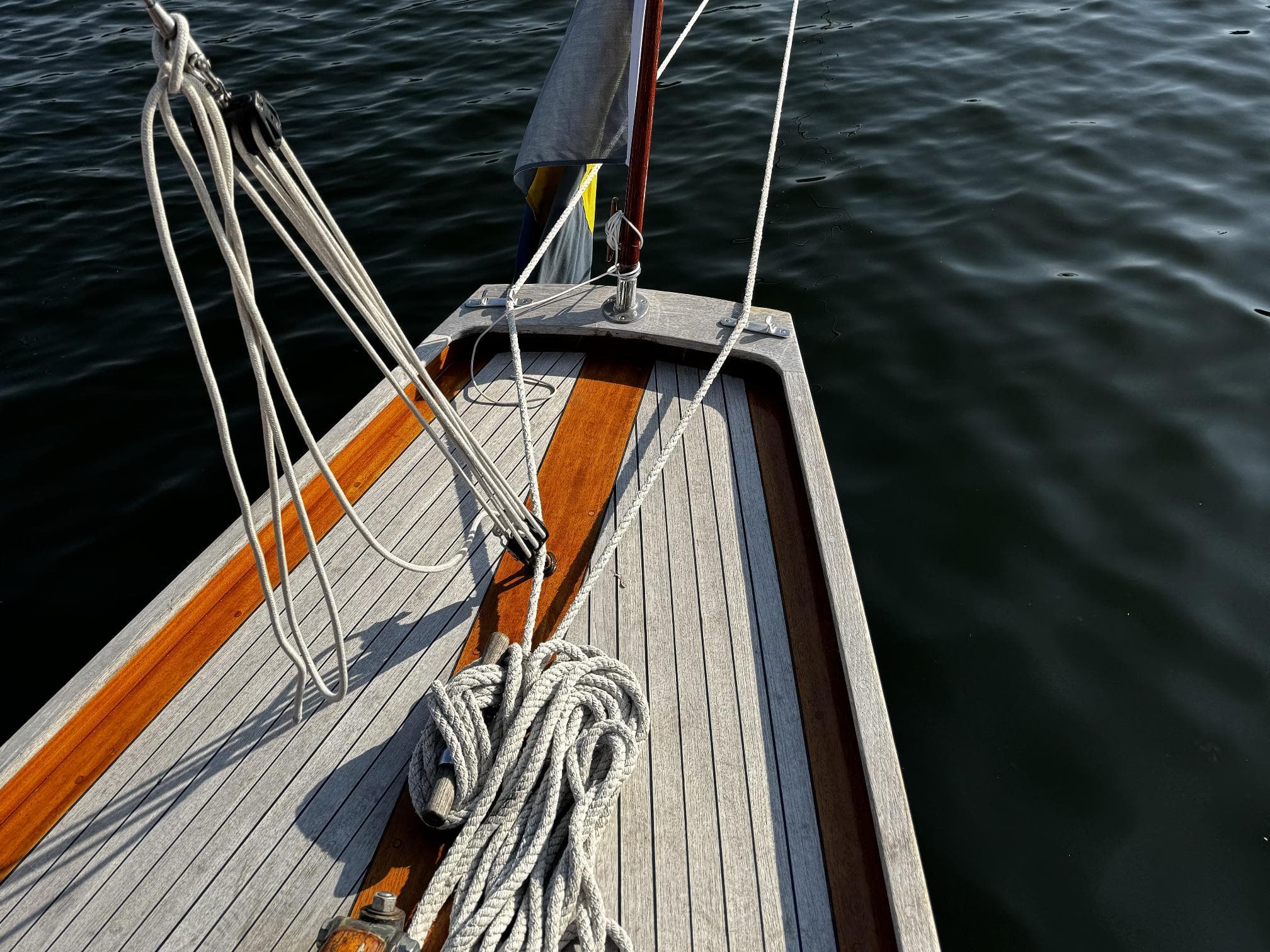 Tore Holm Velella – Bild 11