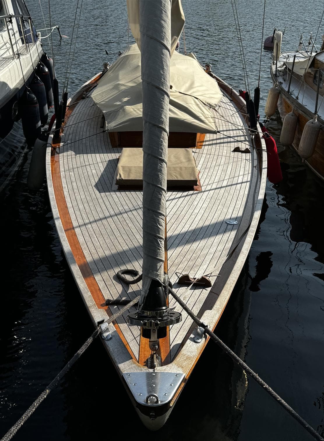 Tore Holm Velella – Bild 10