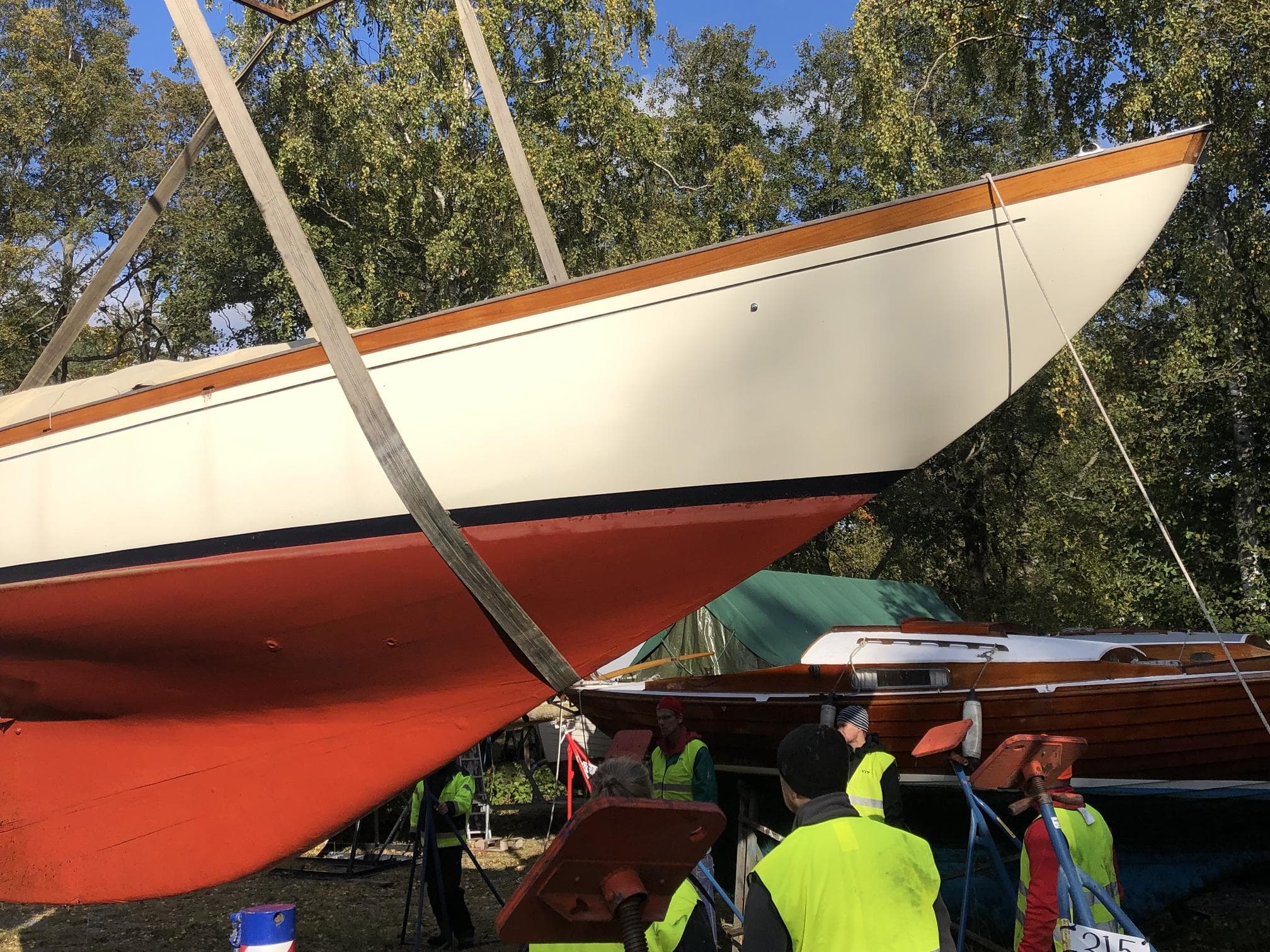 Tore Holm Velella – Bild 12