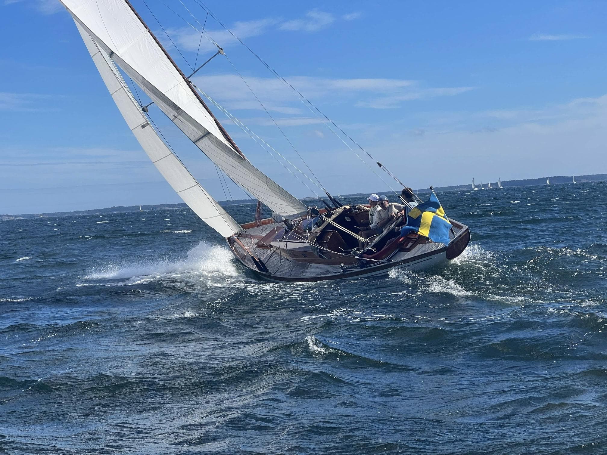 Tore Holm Velella – Bild 5