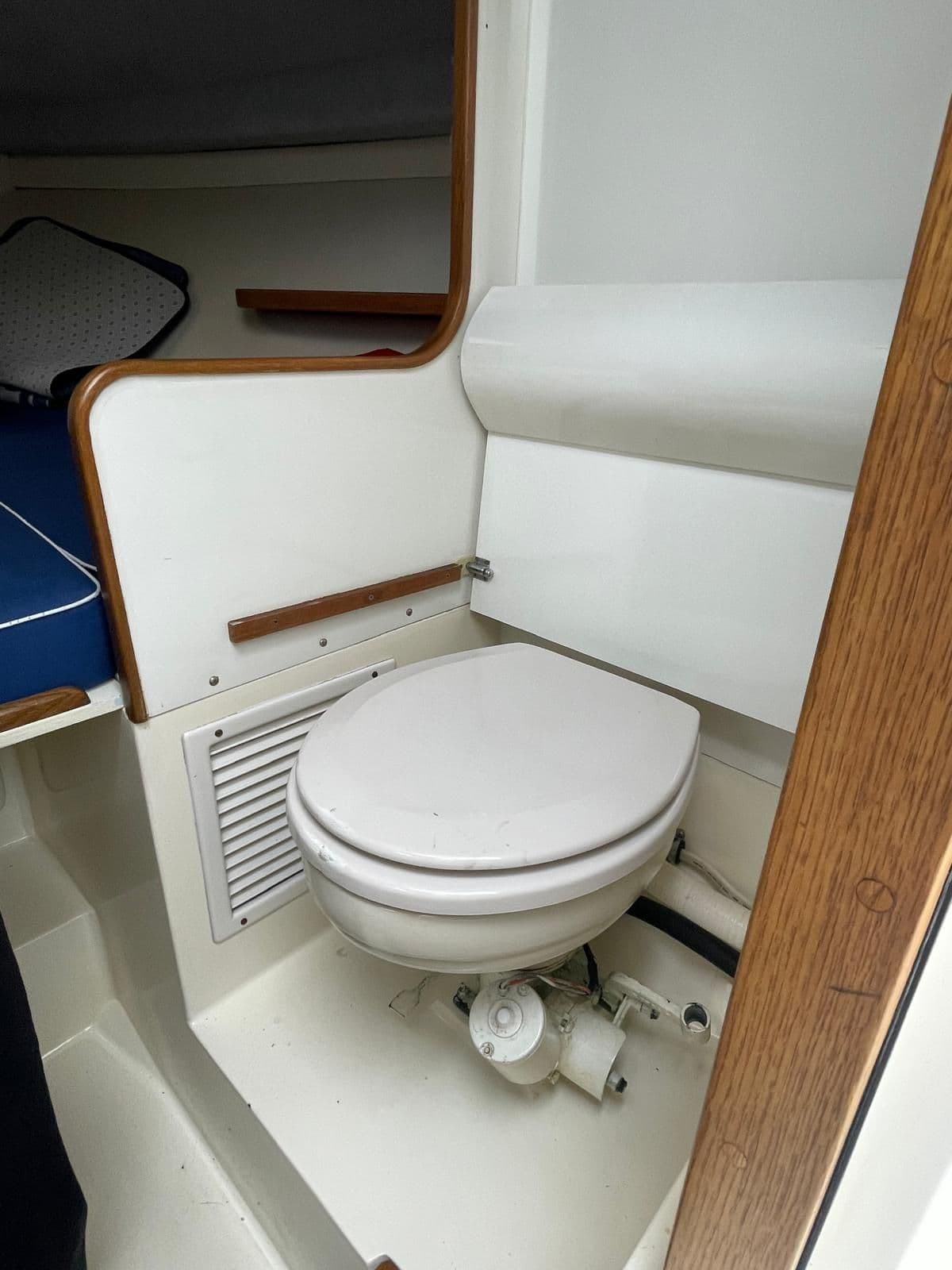 Bertram 28 Moppie – Bild 13