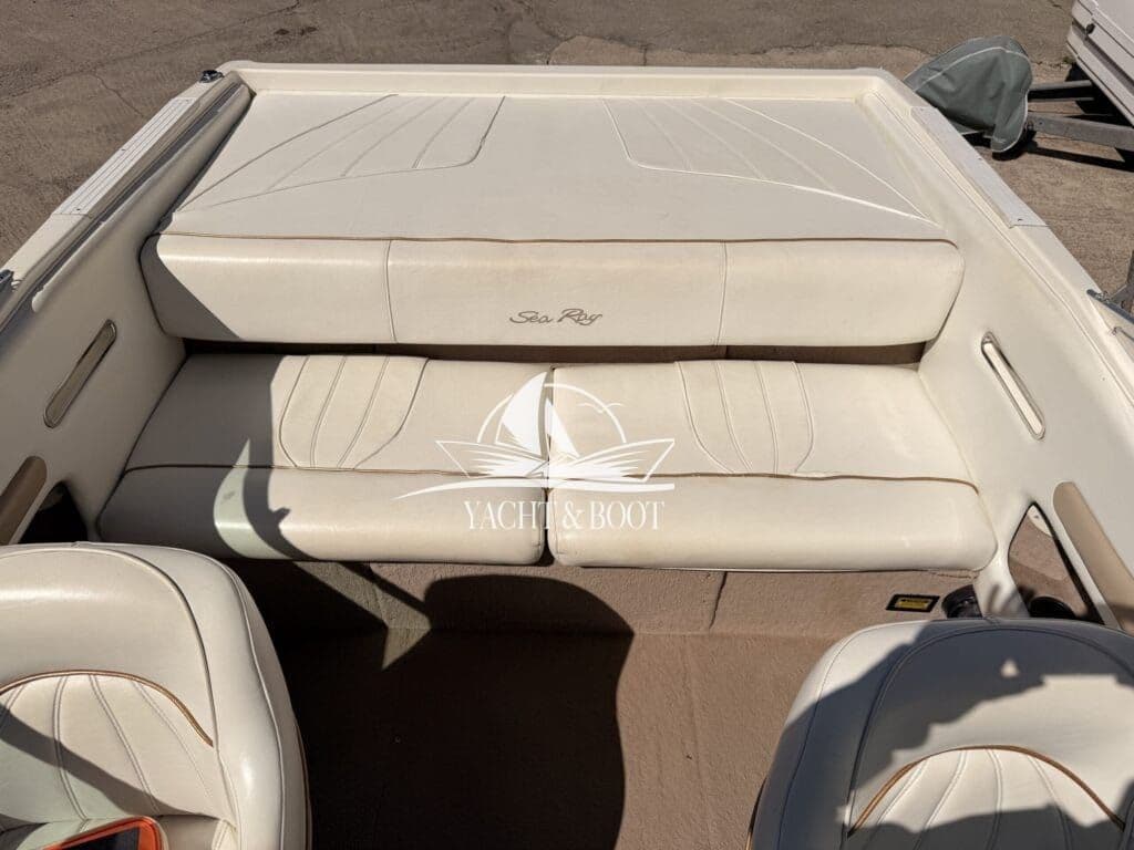 Sea Ray 200 | Daycruiser (205 PS V6), wenig Stunden – Bild 15