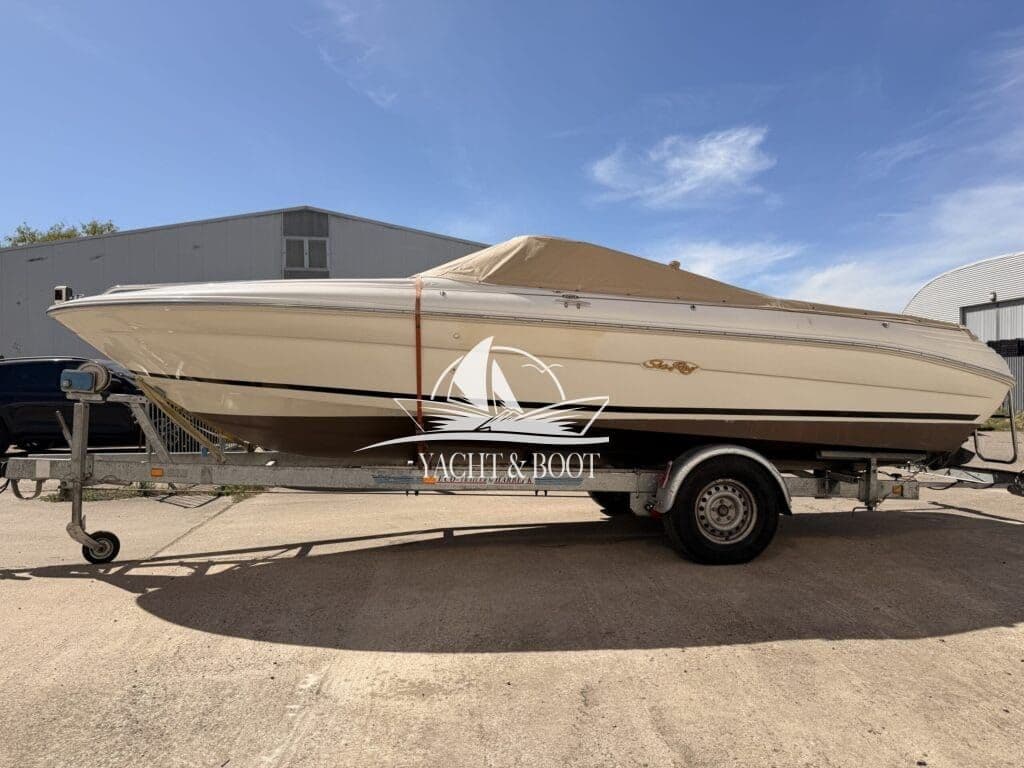 Sea Ray 200 | Daycruiser (205 PS V6), wenig Stunden