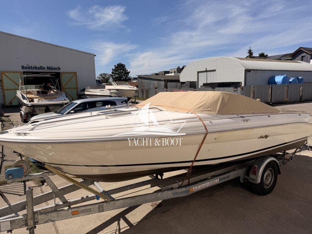 Sea Ray 200 | Daycruiser (205 PS V6), wenig Stunden – Bild 3