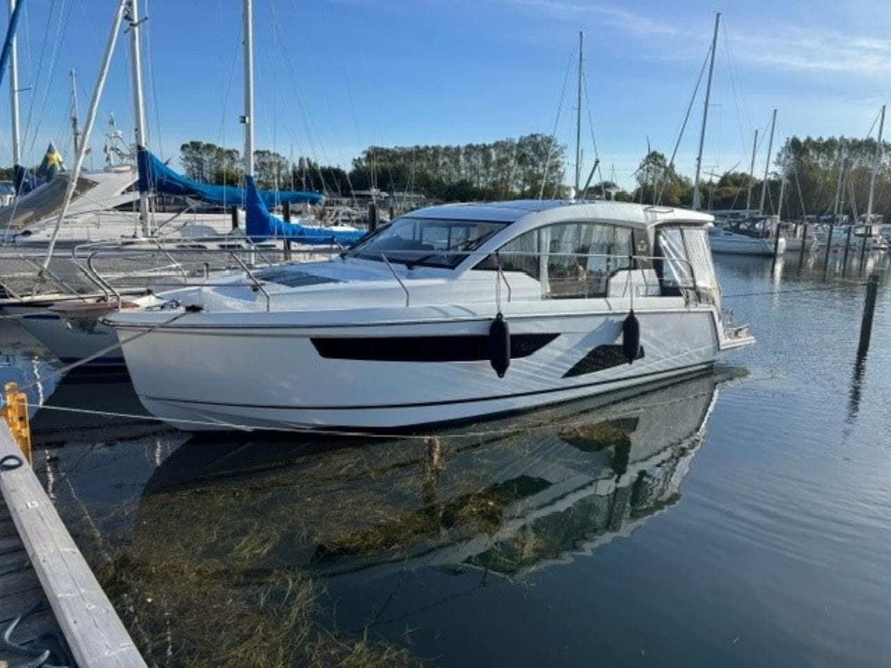 Sealine C330 – Bild 3