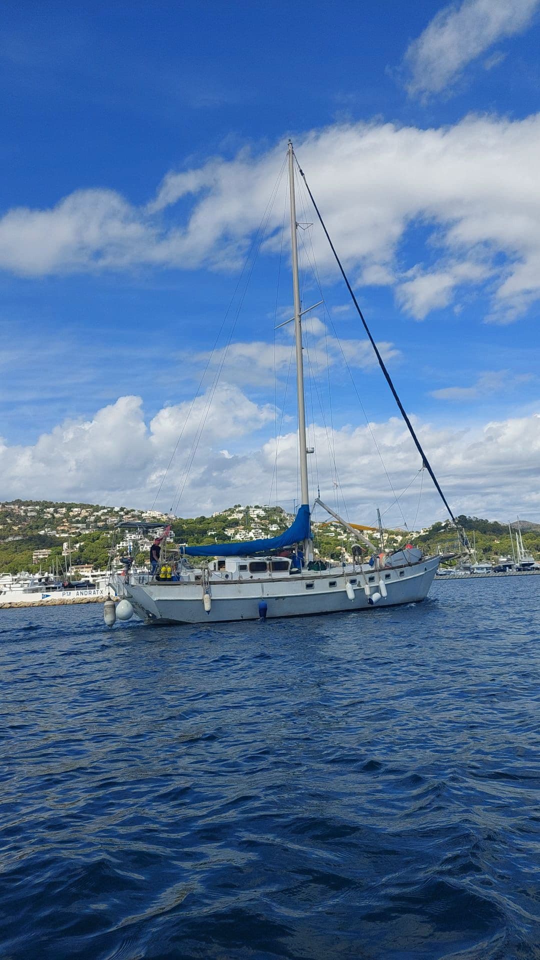 Custom Mc Connel Marine Ltd Custom Pilot Cutter – Bild 16