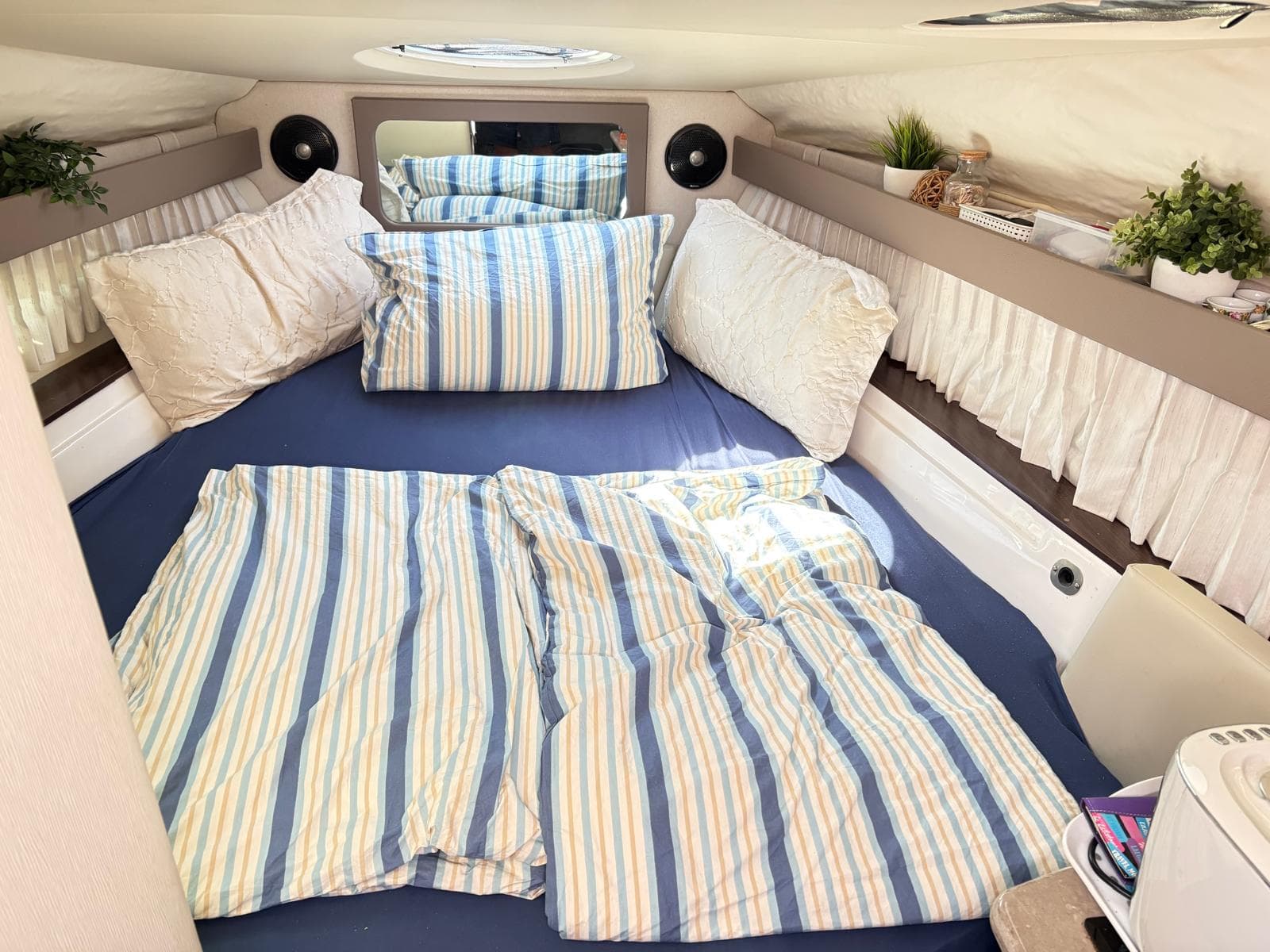 Regal 28 Express – Bild 9