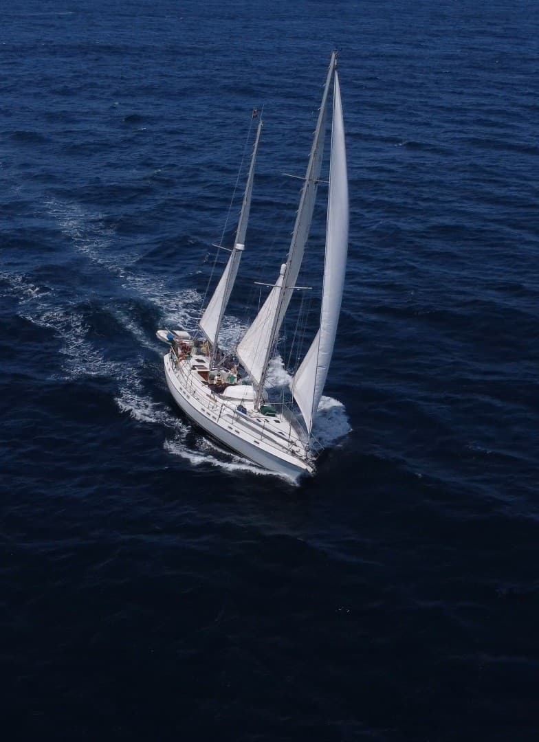 Morgan Out Island 51