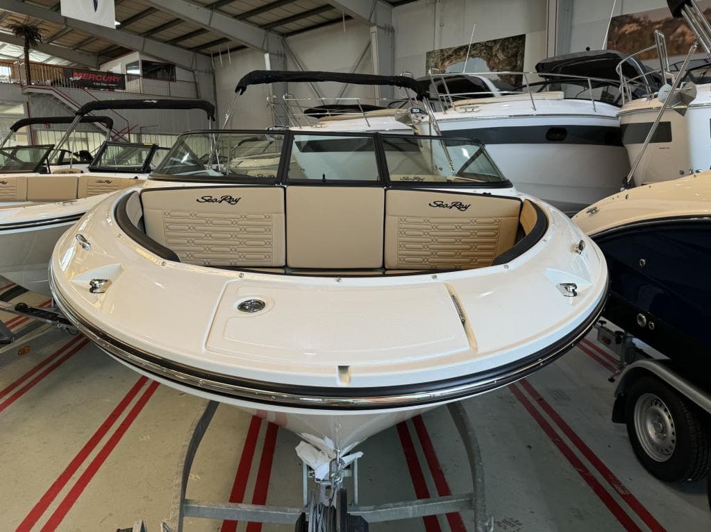 Sea Ray 190 SPX – Bild 2