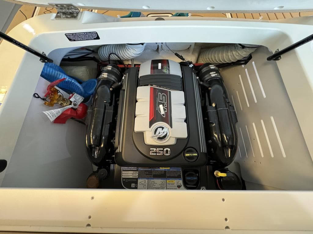 Sea Ray 190 SPX – Bild 9
