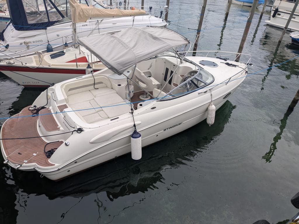 Stingray 250 CR – Bild 2