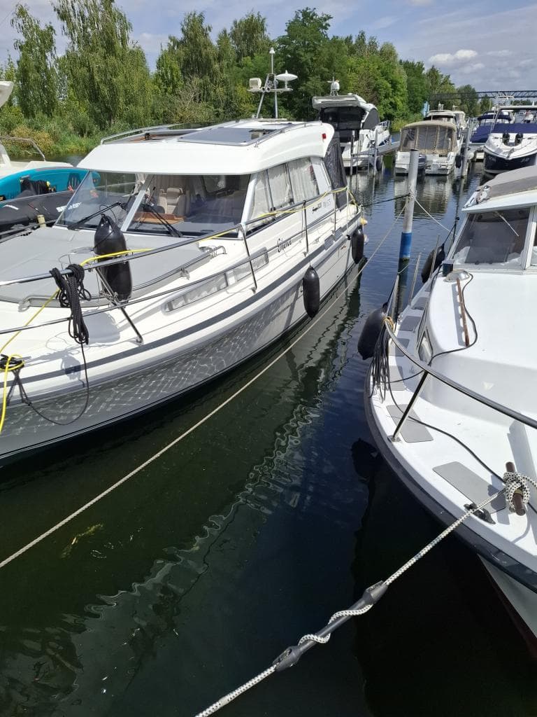Saga 320 Sun Top