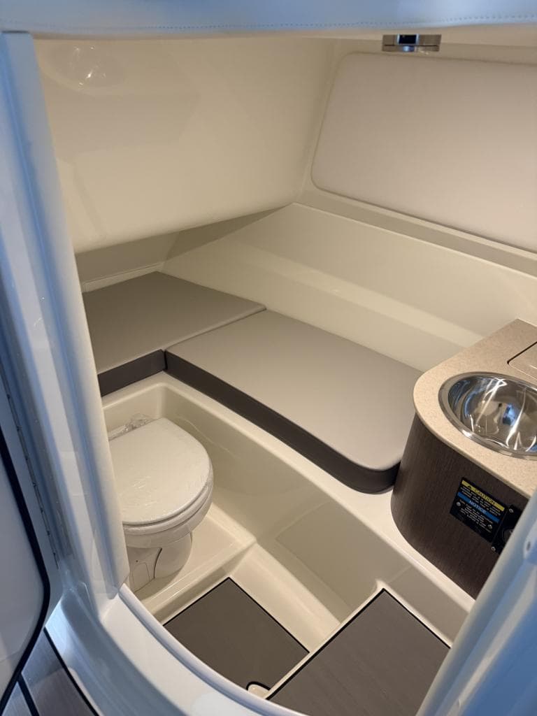 Sea Ray 250 SDX – Bild 8