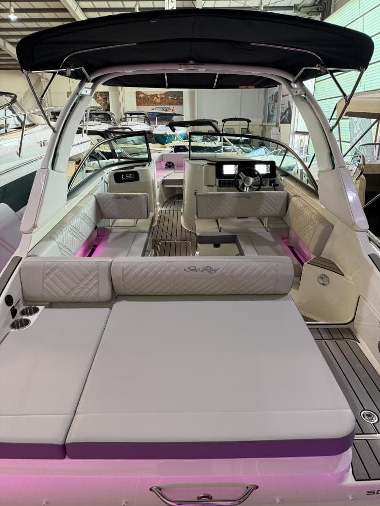 Sea Ray 250 SDX – Bild 4