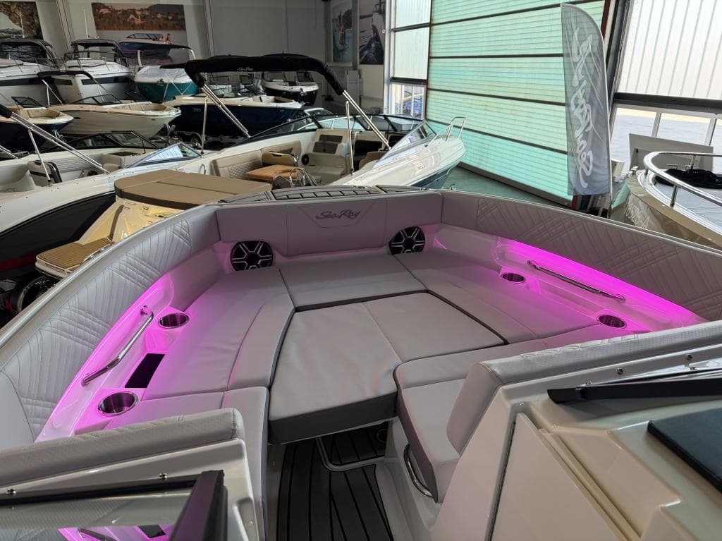 Sea Ray 250 SDX – Bild 5