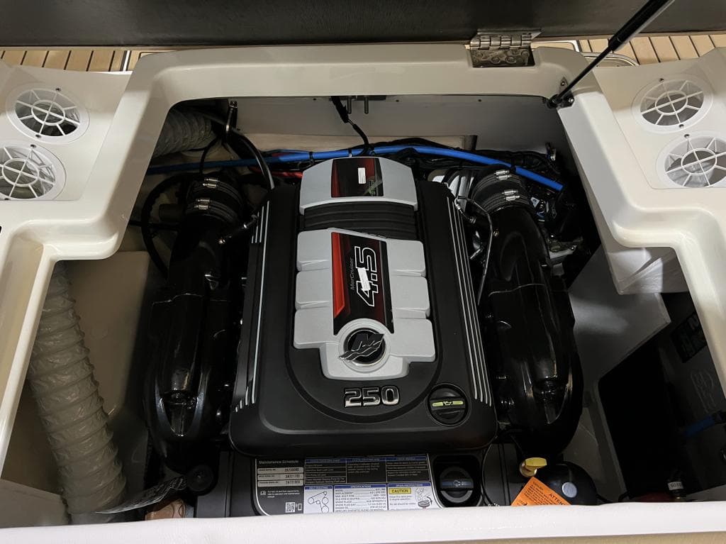 Sea Ray 190 SPX – Bild 6