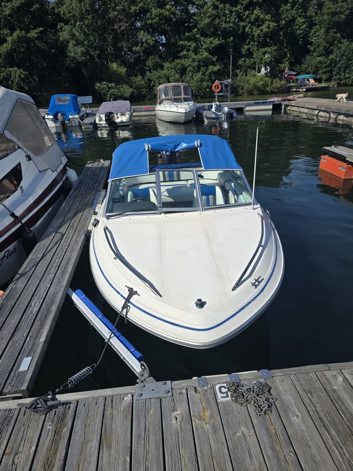 Sea Ray