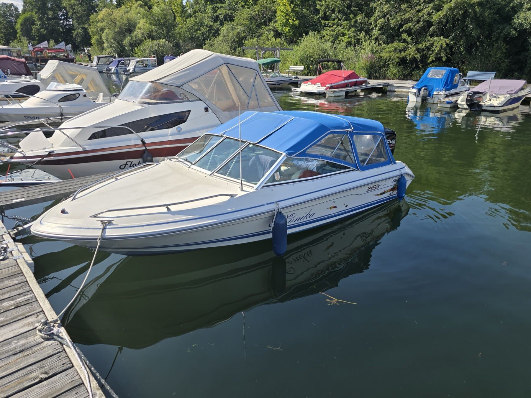 Sea Ray – Bild 2