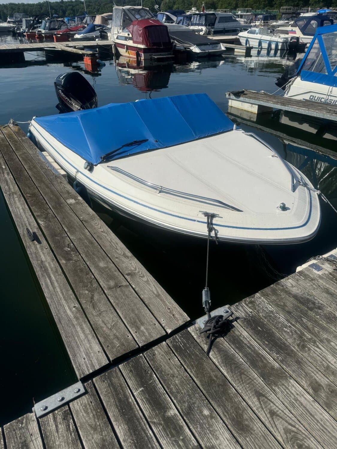 Sea Ray – Bild 6