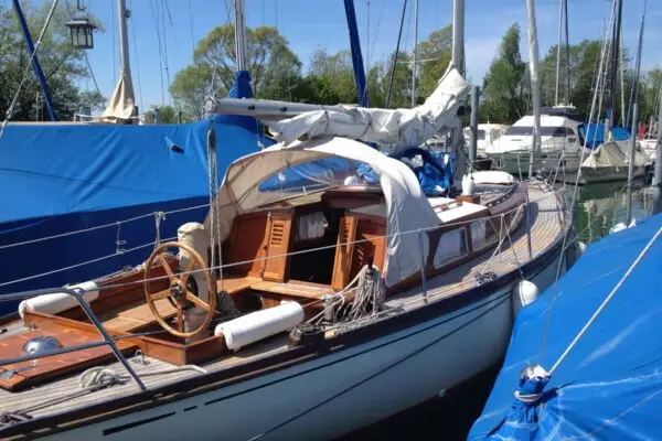 Raider 35