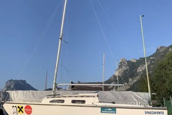 Shark 24