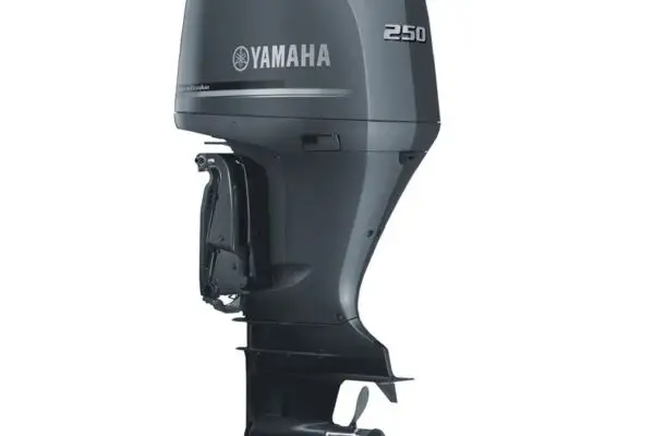 Yamaha F250NCB