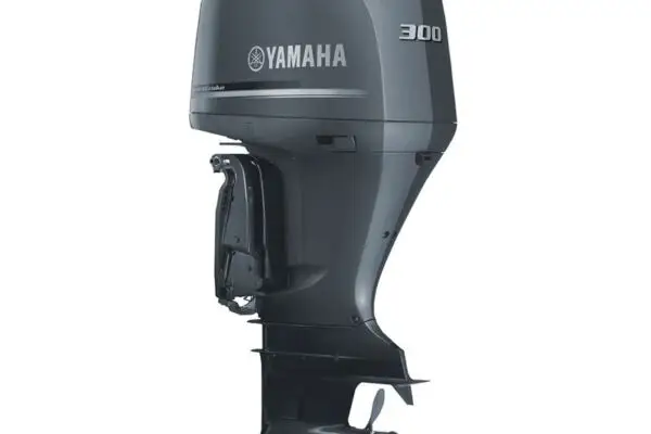 Yamaha F300NCB