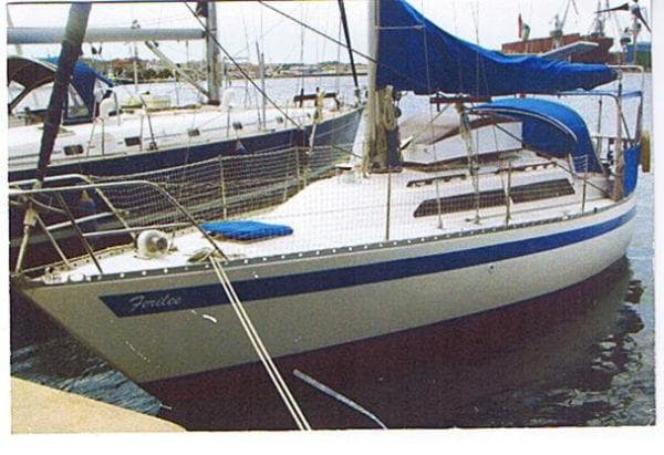 Miura 31