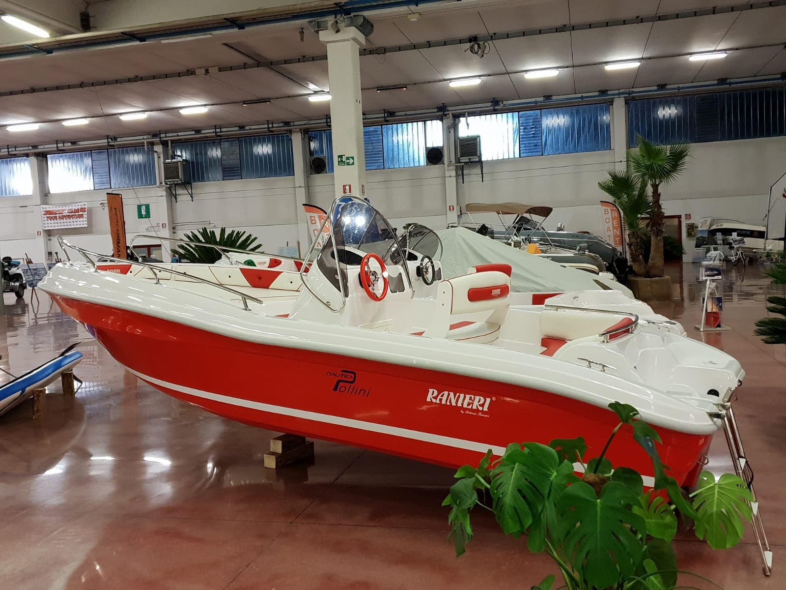 Ranieri Azzurra (New)